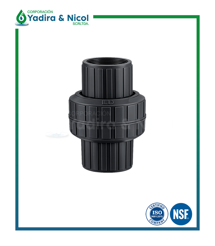 CHECK RESORTE CON ROSCA PVC LD