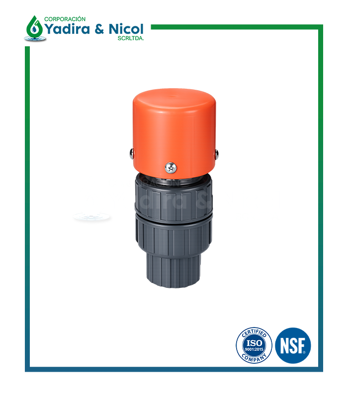 VÁLVULA DE AIRE CON ROSCA HEMBRA PVC LD